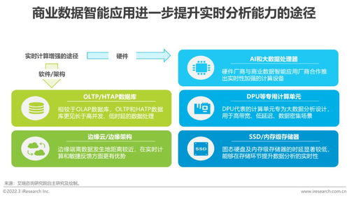 2022年中國商業數據智能行業研究